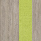 Дуб Аттик / Romeo 07