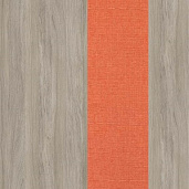 Дуб Аттик / Romeo 08