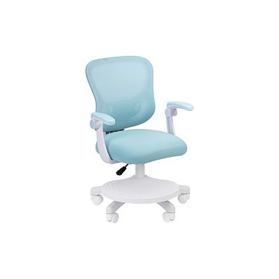 Кресло детское компьютерное (с подножкой) Chairman CH106