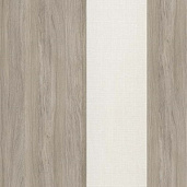 Дуб Аттик / Romeo 01