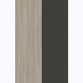 Белый Бриллиант / Дуб Аттик / Металл Антрацит